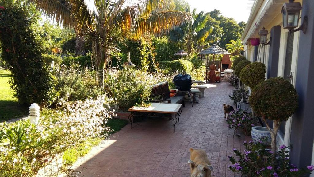 Constantia Lazy River Cape Town Ngoại thất bức ảnh